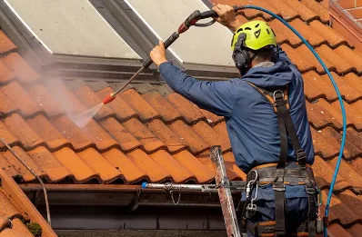 Démoussage et hydrofuge de toiture à Taluyers